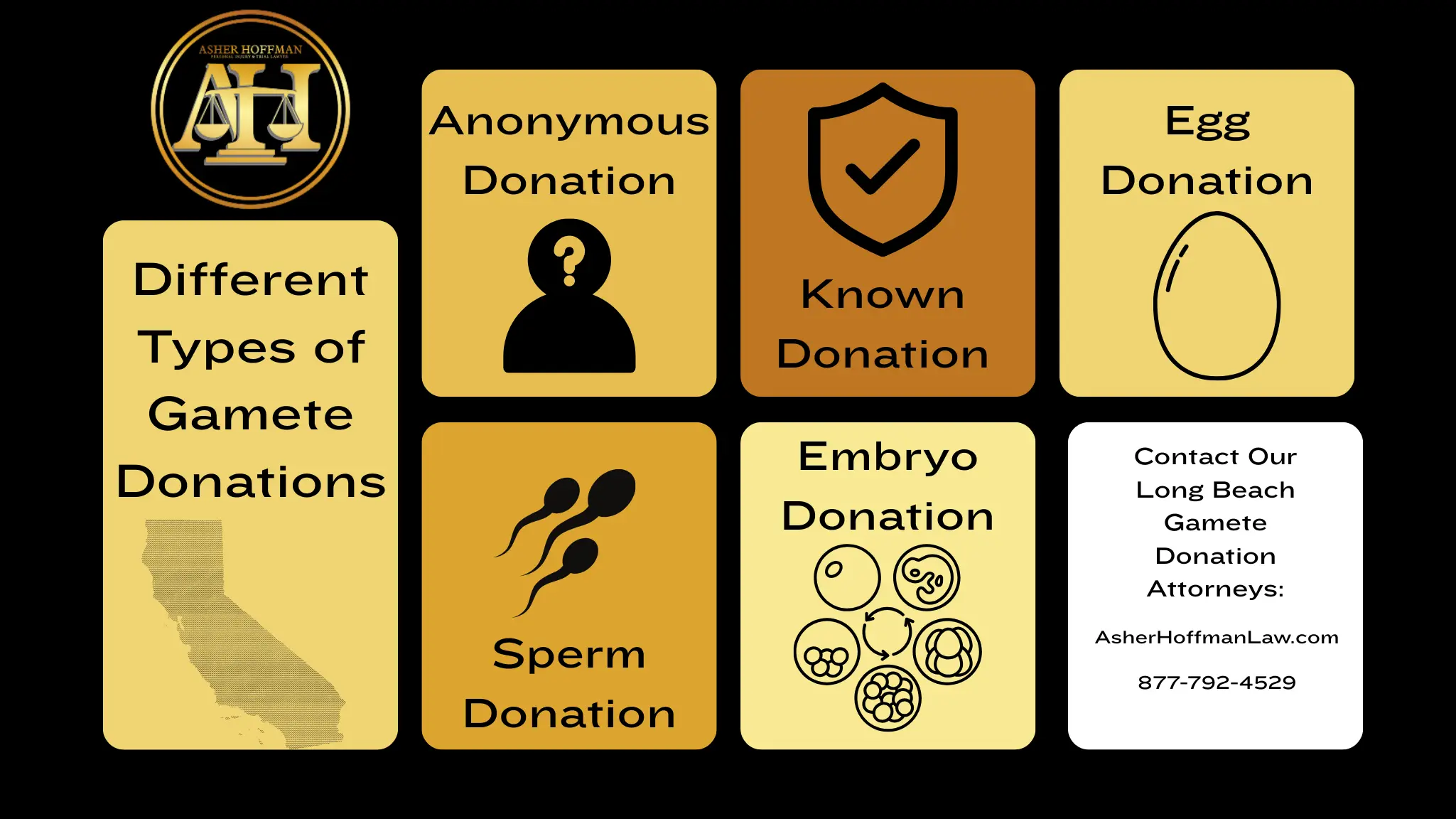 This infographic shows that Different Types of Gamete Donations